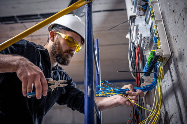 Best Electric Panel Repair  in Hoffman Estates, IL